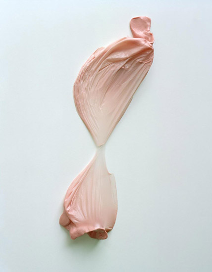 shank